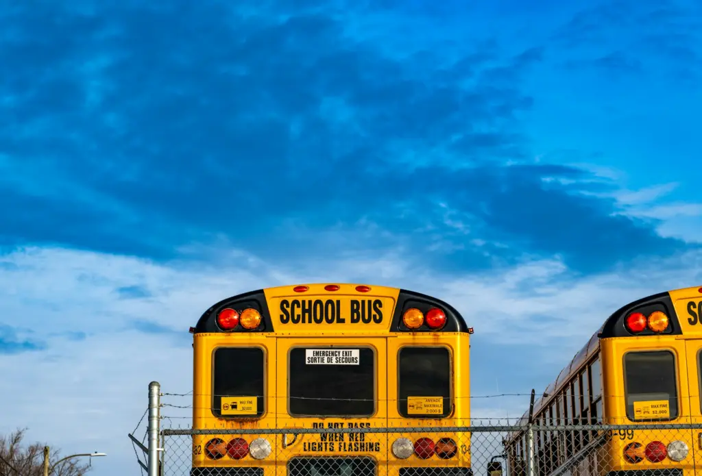 The backs of two yellow school buses under a blue sky